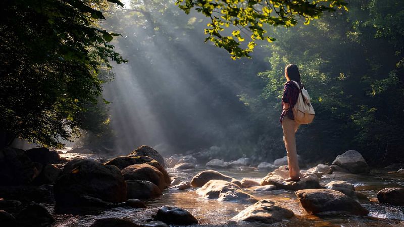An Unhurried Walk